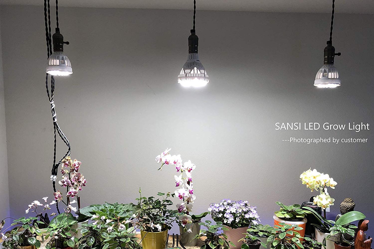 sansi zarovka 15w v praxi